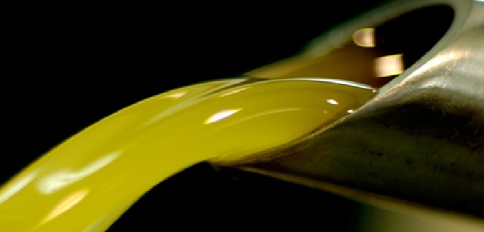 Raccolta delle olive: la biologia ci spiega come sarà l’olio 2014