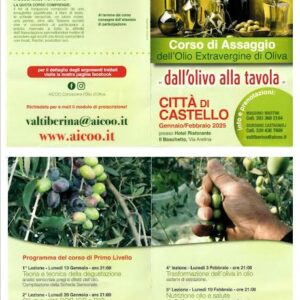 CORSO ASSAGGIO – CITTA’ Di castello – 13 gennaio – 17 febbraio 2025